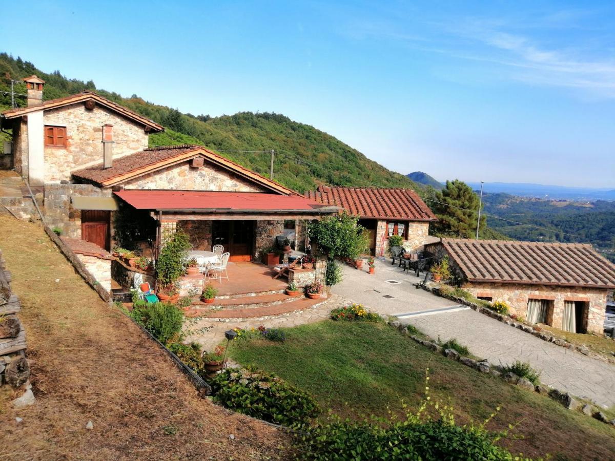 Villa Armonia Borgo a Mozzano Exteriér fotografie