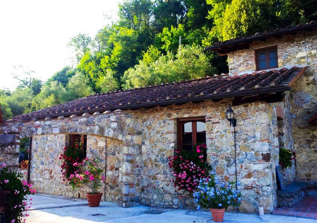 Villa Armonia Borgo a Mozzano Exteriér fotografie