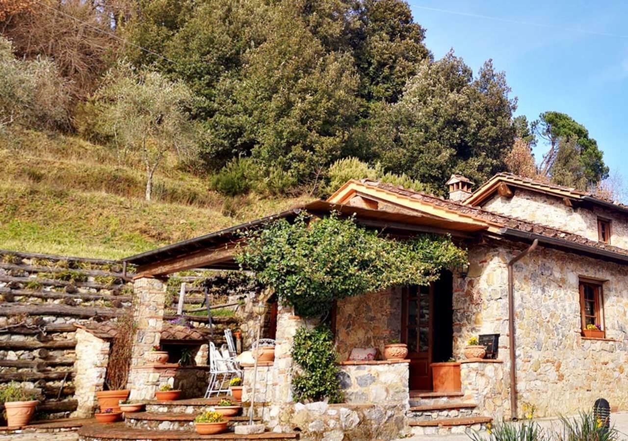 Villa Armonia Borgo a Mozzano Exteriér fotografie